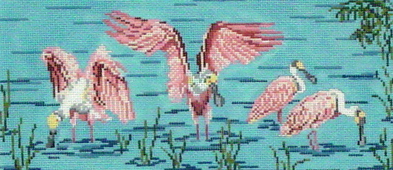 NC 1630 Spoonbills in the Water