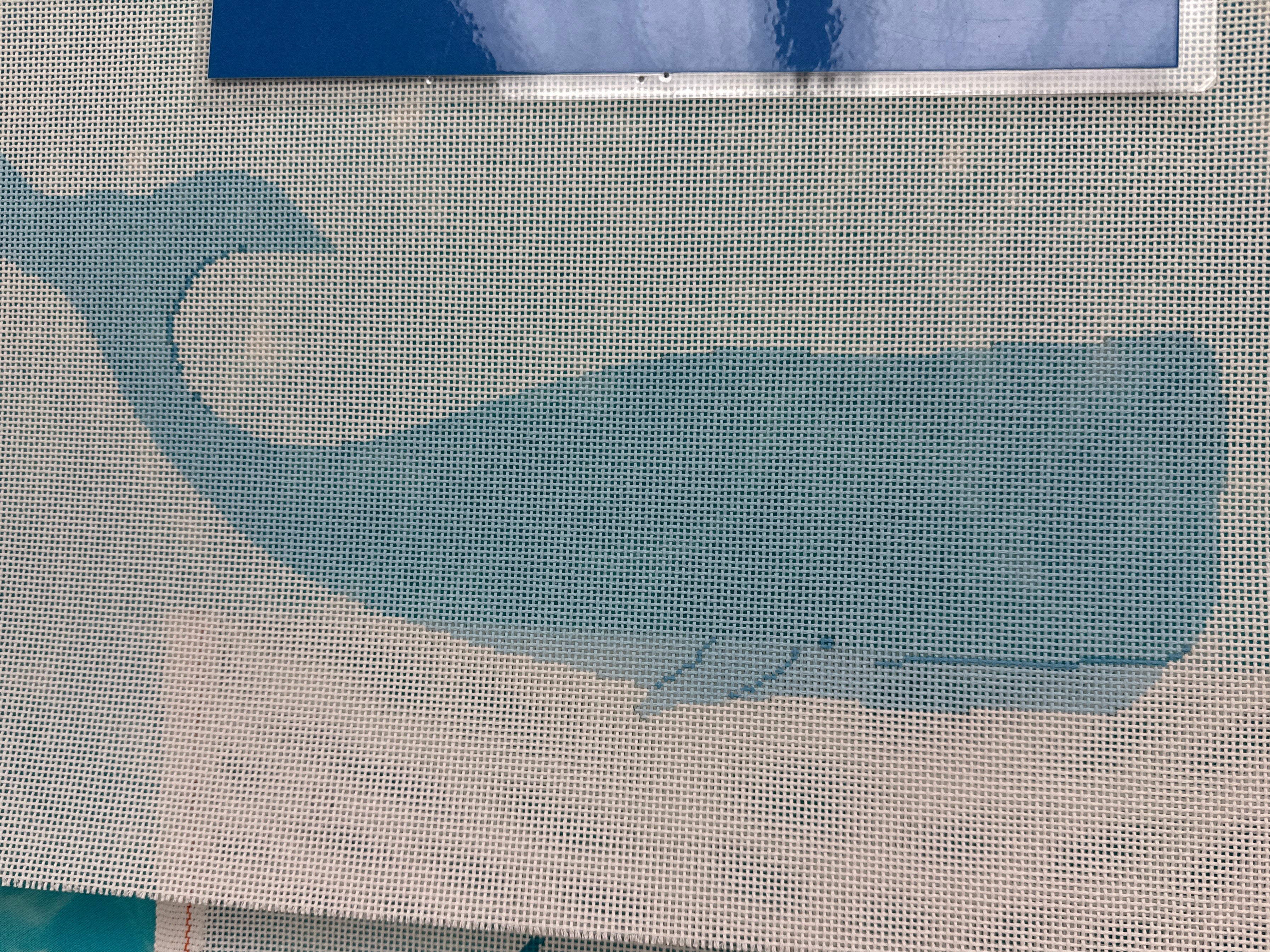 ASIT477 Whale