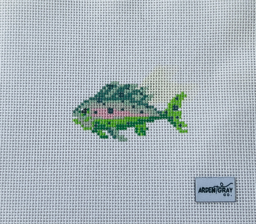 AGCBFM Bright Fish Mini