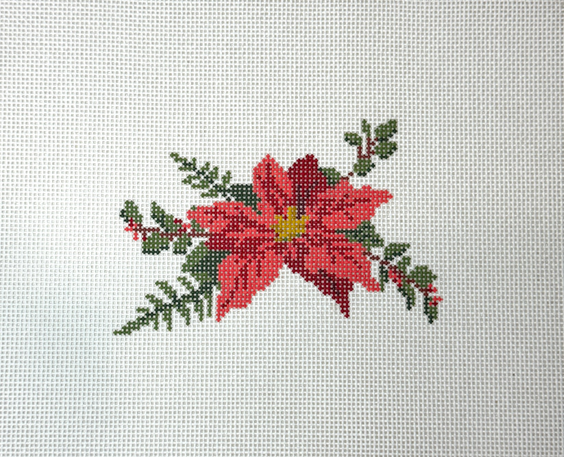 AGCP Poinsettia 