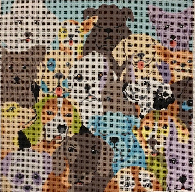 ASIT109 Many Dogs