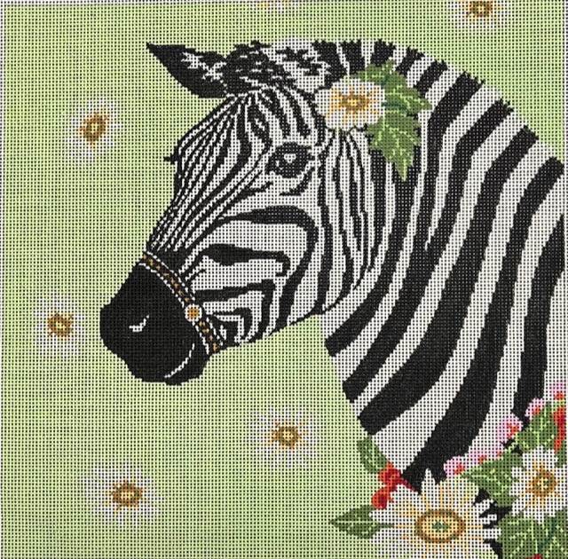 ASIT206 Zebra