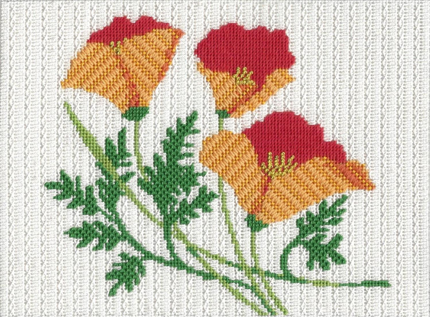 ASIT275SG California Poppy Stitch Guide