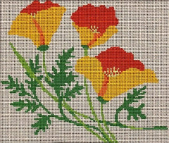 ASIT275 California Poppy