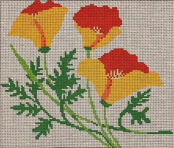ASIT275 California Poppy
