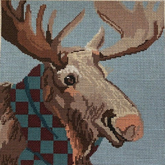 ASIT310 Moose