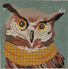 ASIT311 Owl