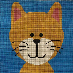ASIT331 Kitten