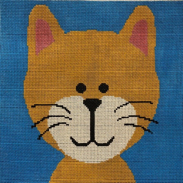 ASIT331 Kitten