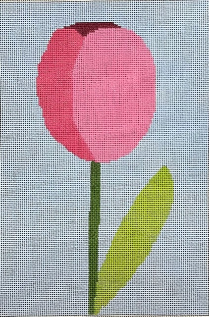 ASIT508 Tulips