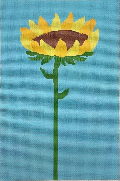 ASIT514 Sunflower