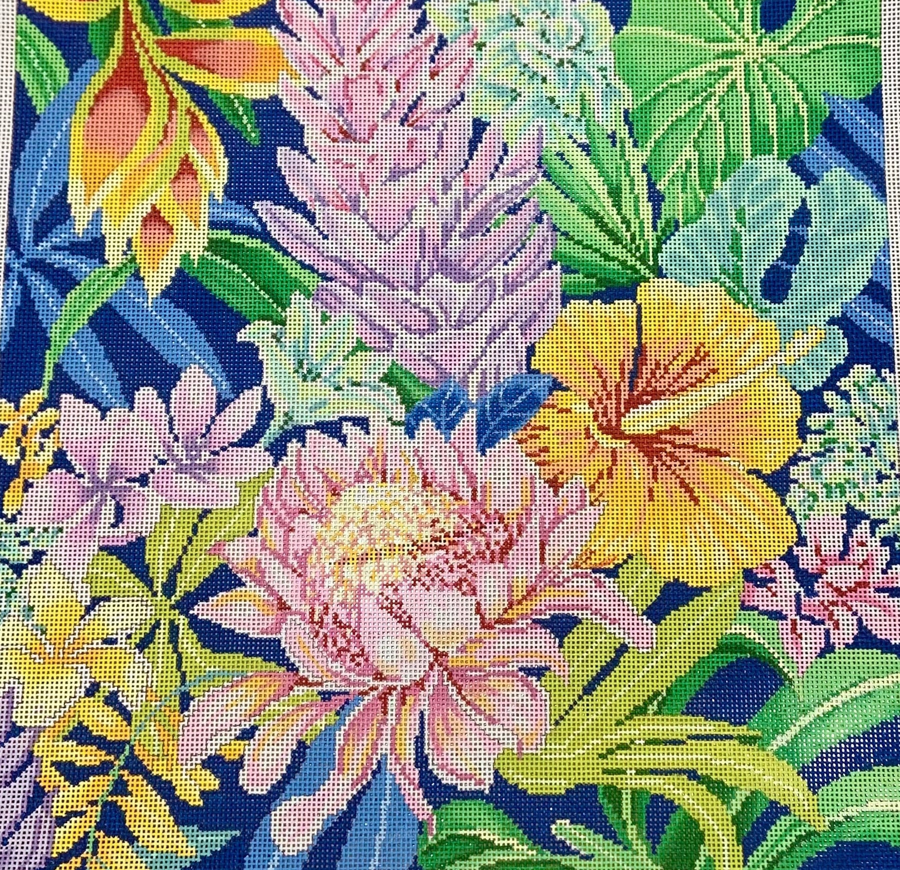 ASIT520 Tropical1