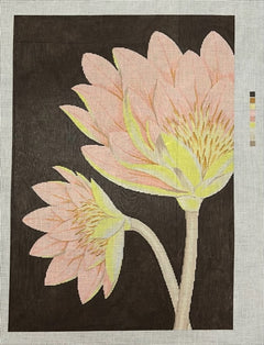 ASIT600 Lotus