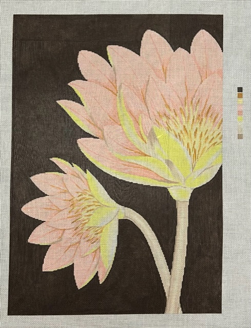 ASIT600 Lotus