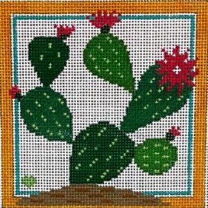 BP-68 Prickly Pear Cactus