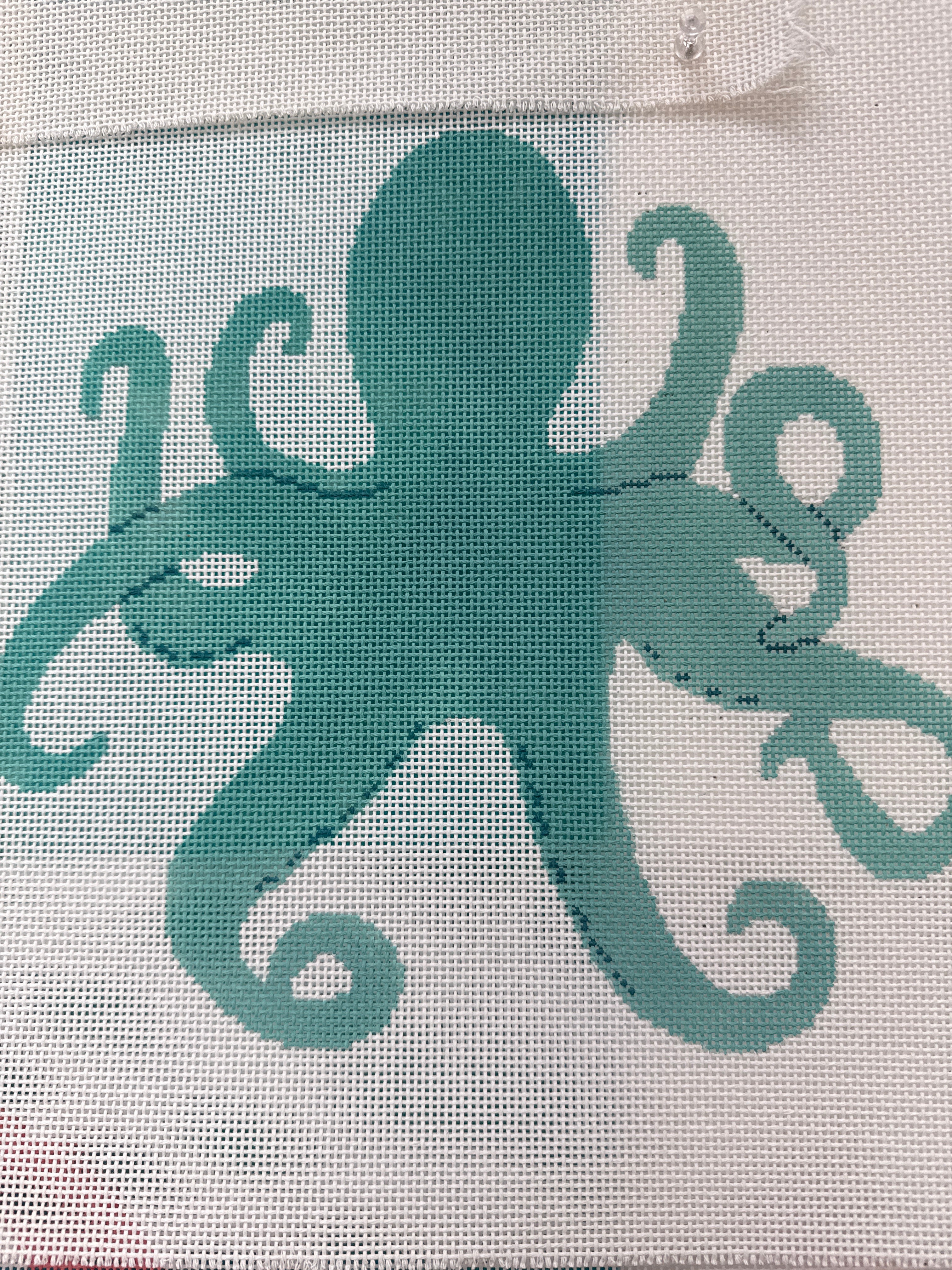 ASIT479 Octopus