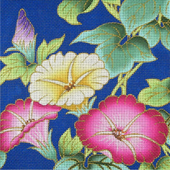 F-20 Morning Glories