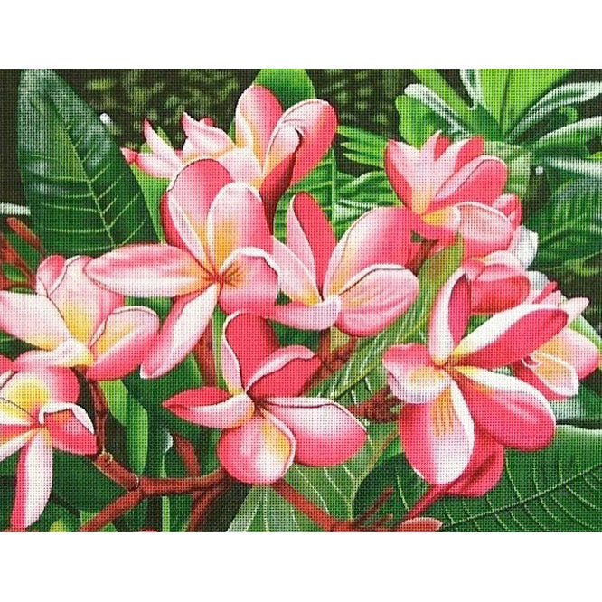 F-36 Pink Blossoms