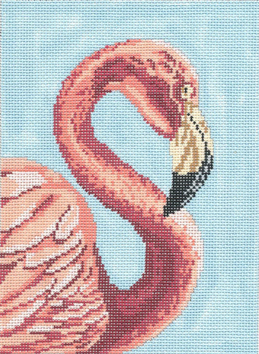 NC 1606 Flamingo