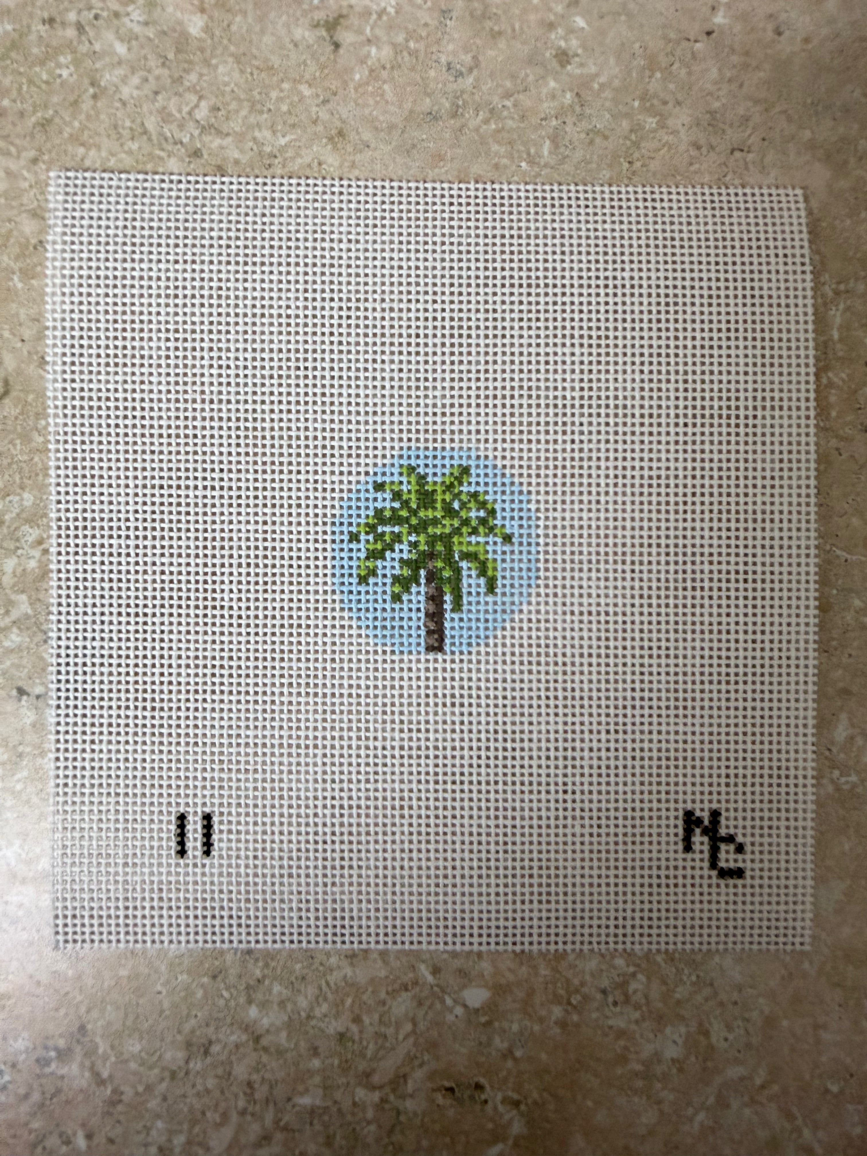 NC11 Palm Tree