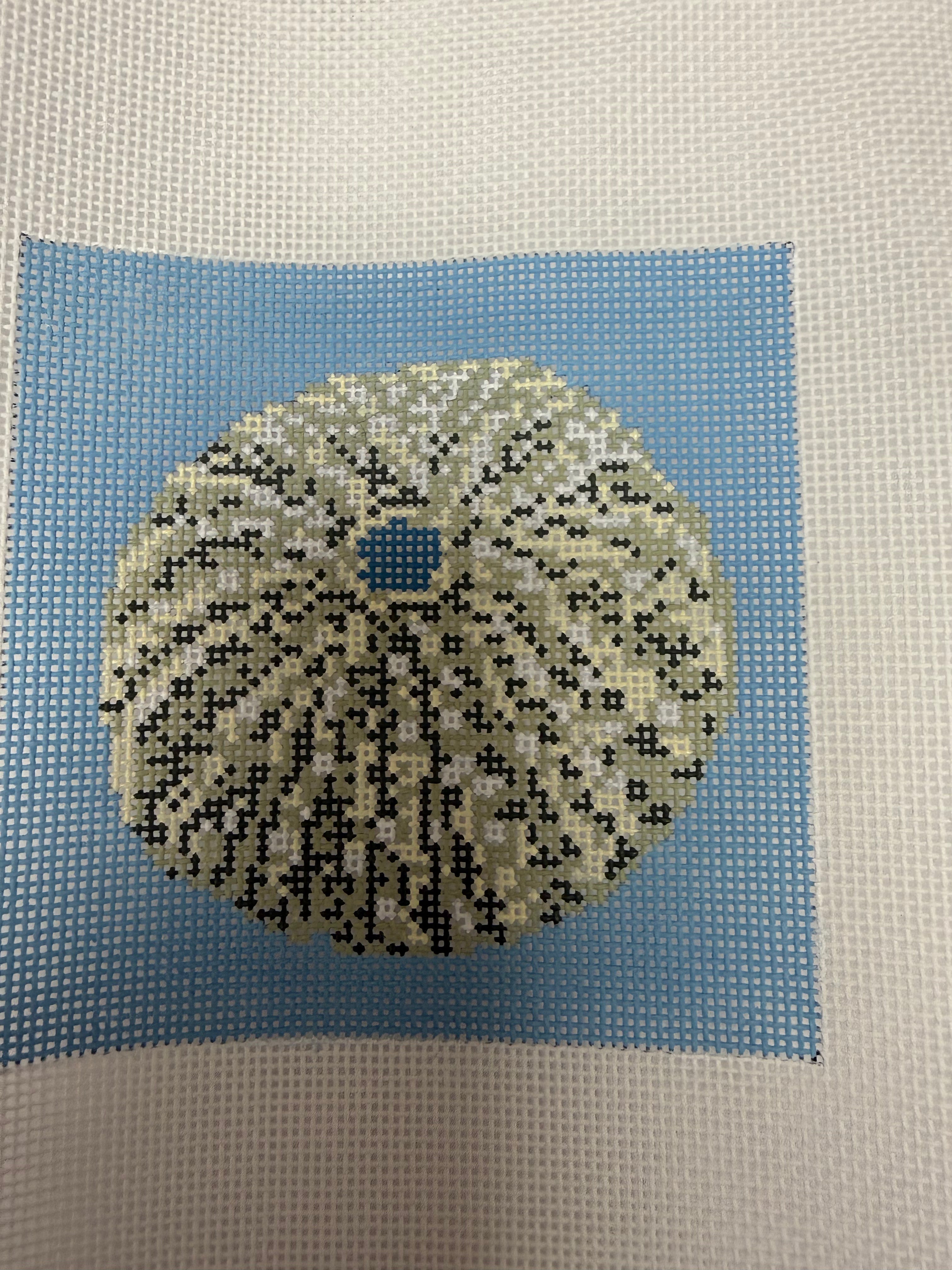 103 Sea Urchin