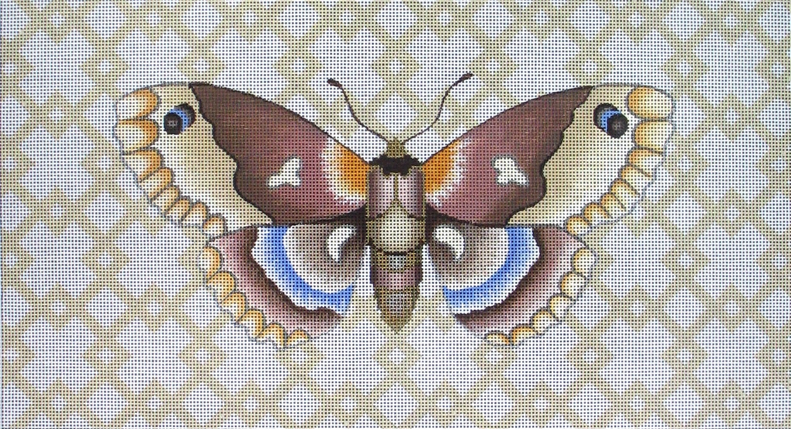NH-92 Moth with Geo