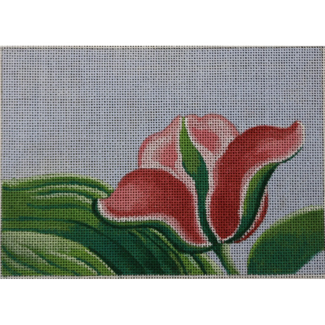 M-283 Details: Tulips