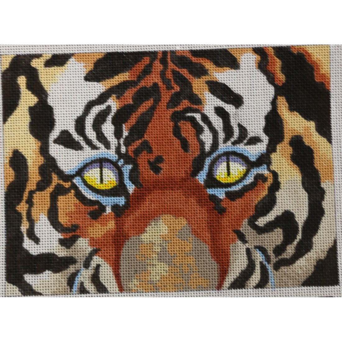 M-337 Details: Tiger Eyes