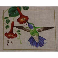 M-399 Blue Throated Hummingbird