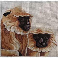 M-404 Squares: Langur Monkeys