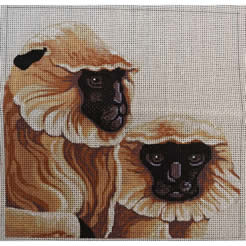 M-404 Squares: Langur Monkeys