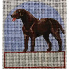 M-P-334 Chocolate Lab