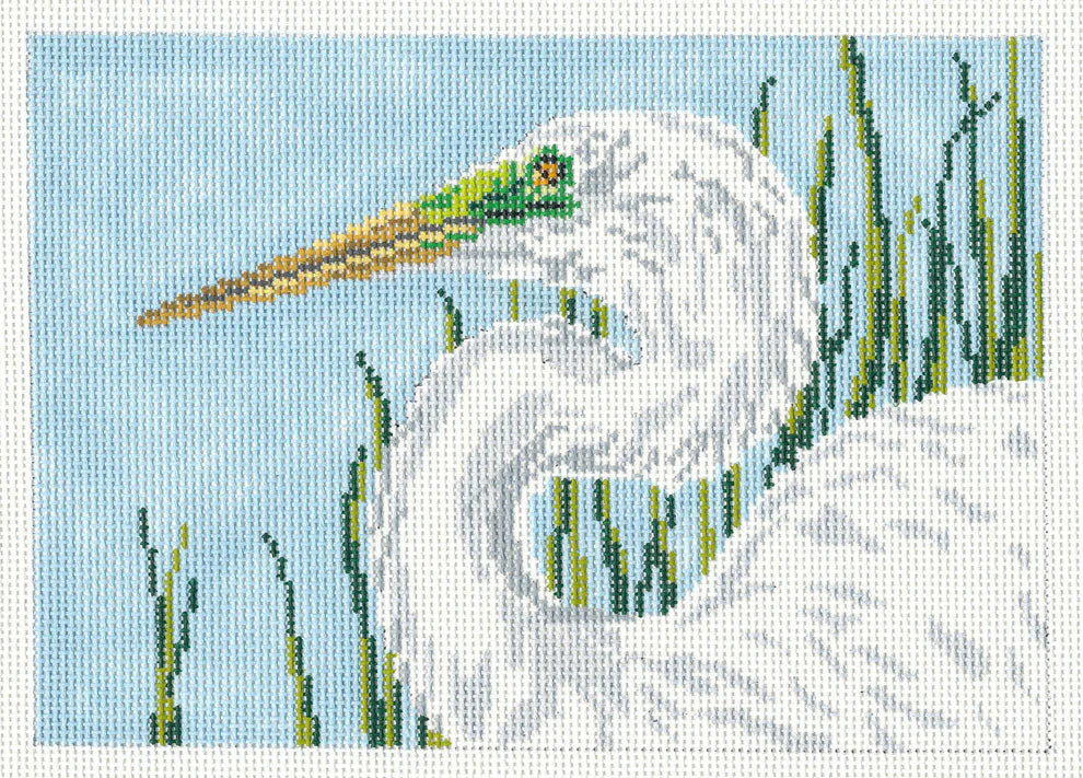 NC 1602 Elegant Egret