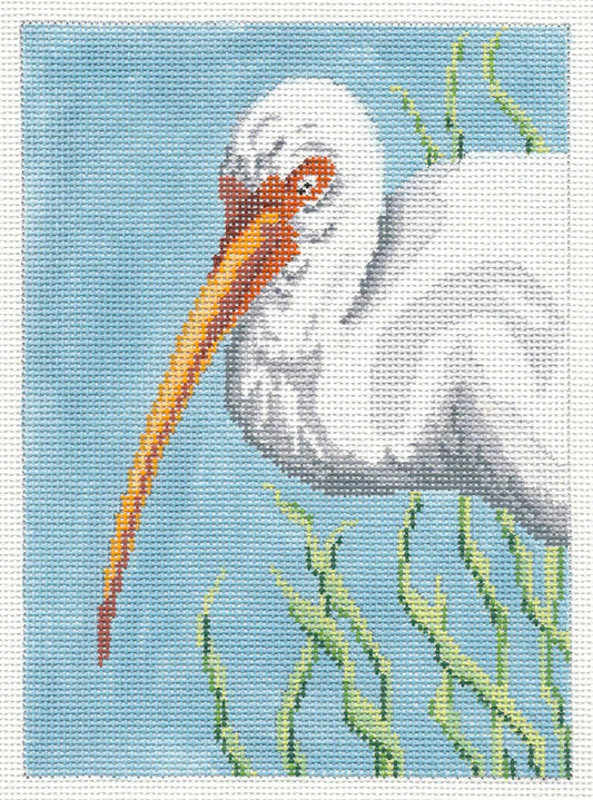 NC 1626 White Ibis