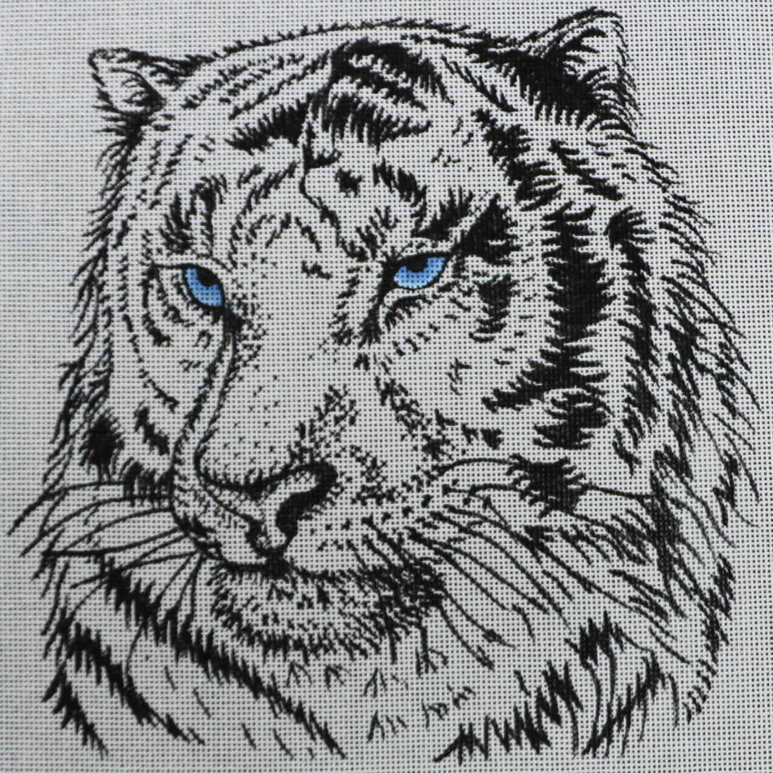 R05 White Tiger