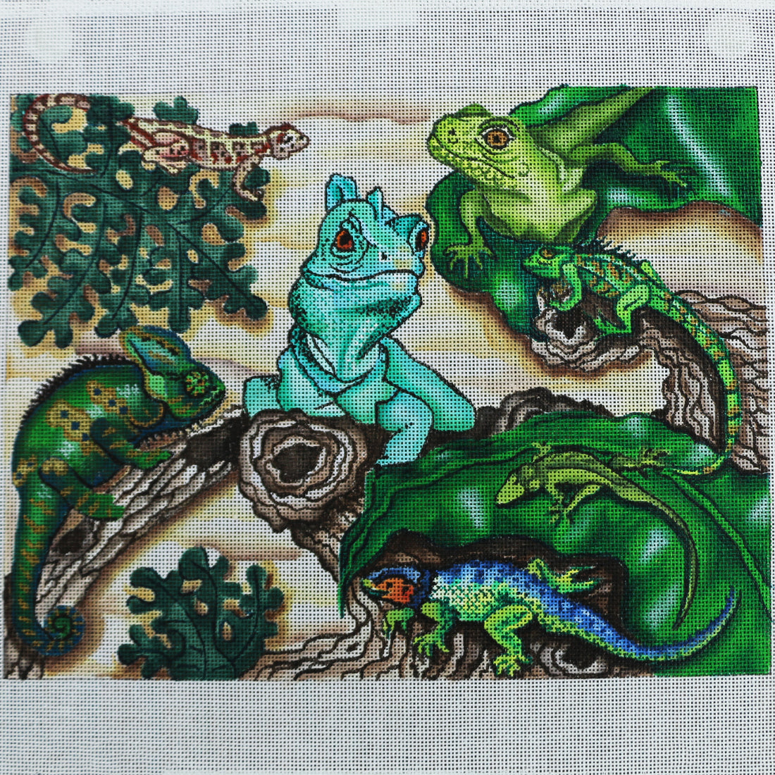 R06 Reptiles