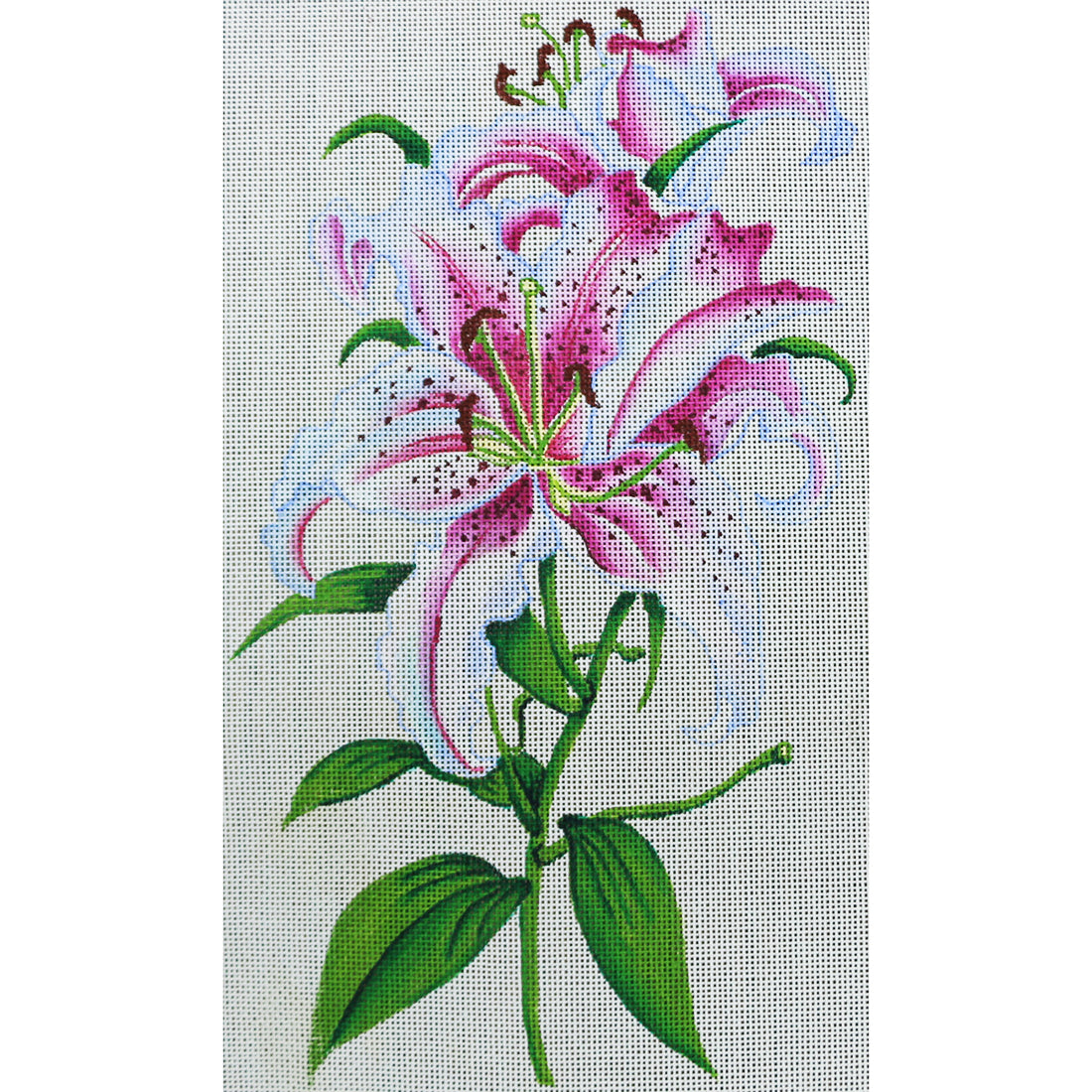 R101 Oriental Lilies
