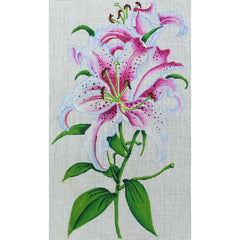R101 Oriental Lilies