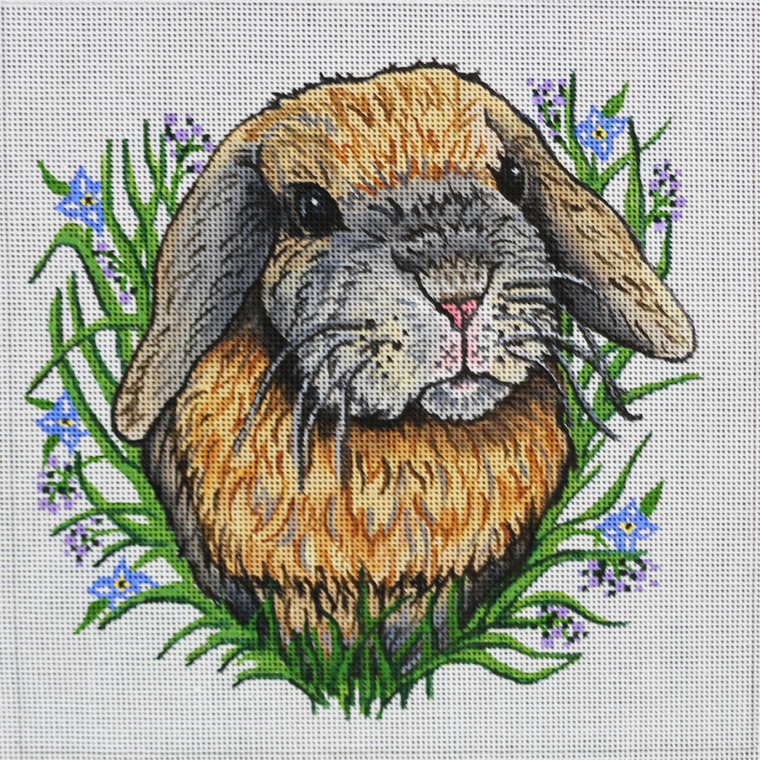R1014 Bunny