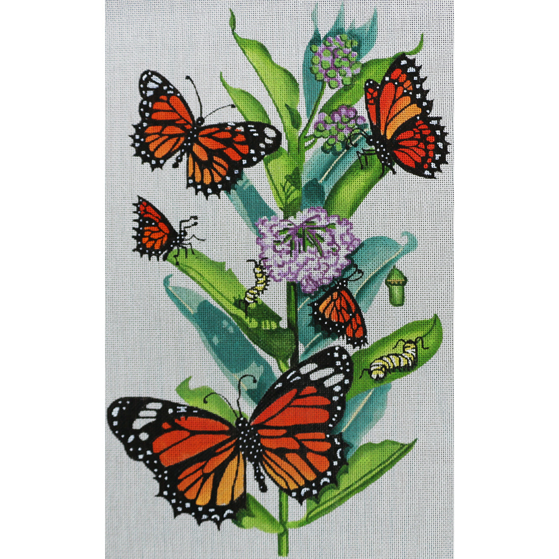 R103 Monarchs