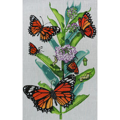 R103 Monarchs