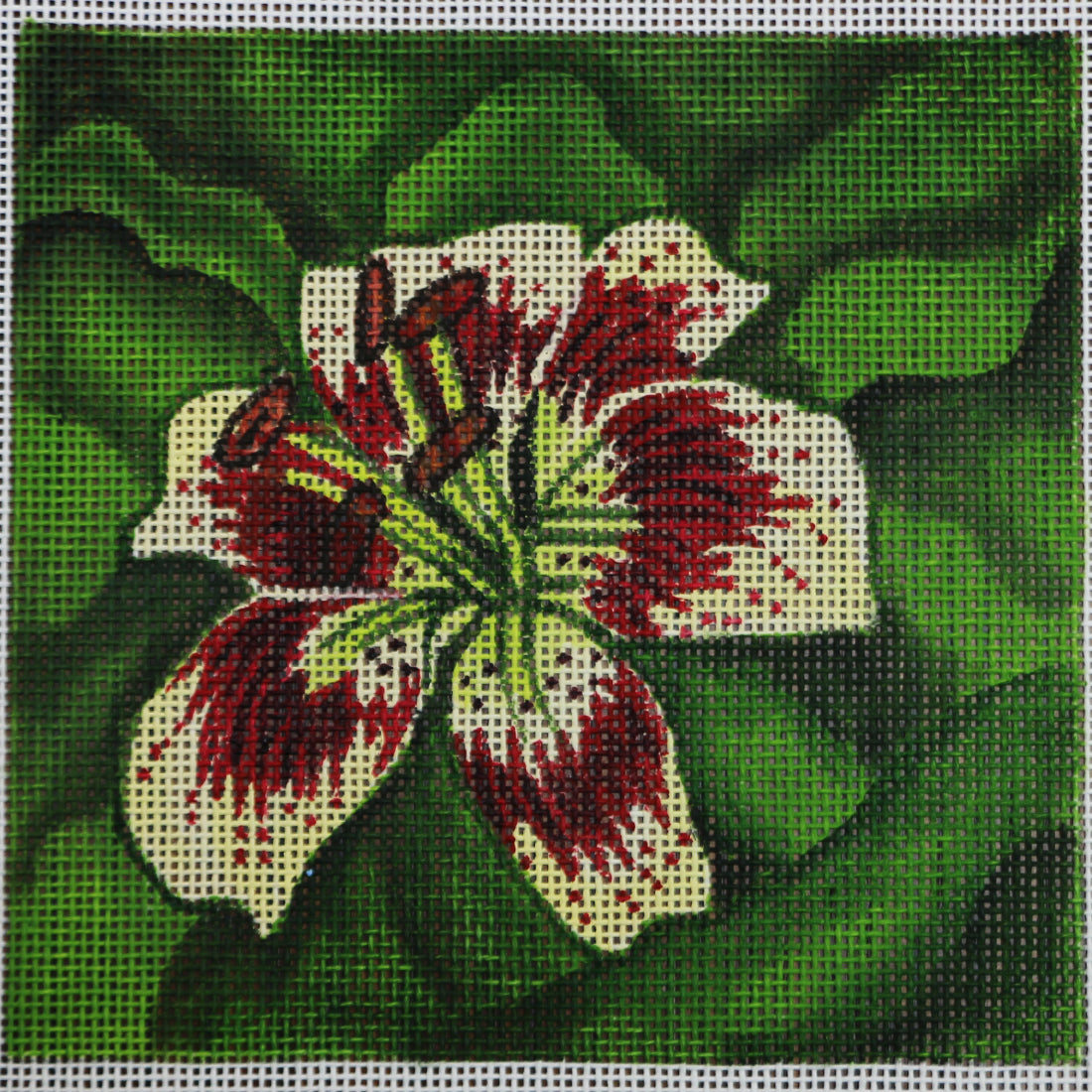 R112 Red and Cream Tiger Lily