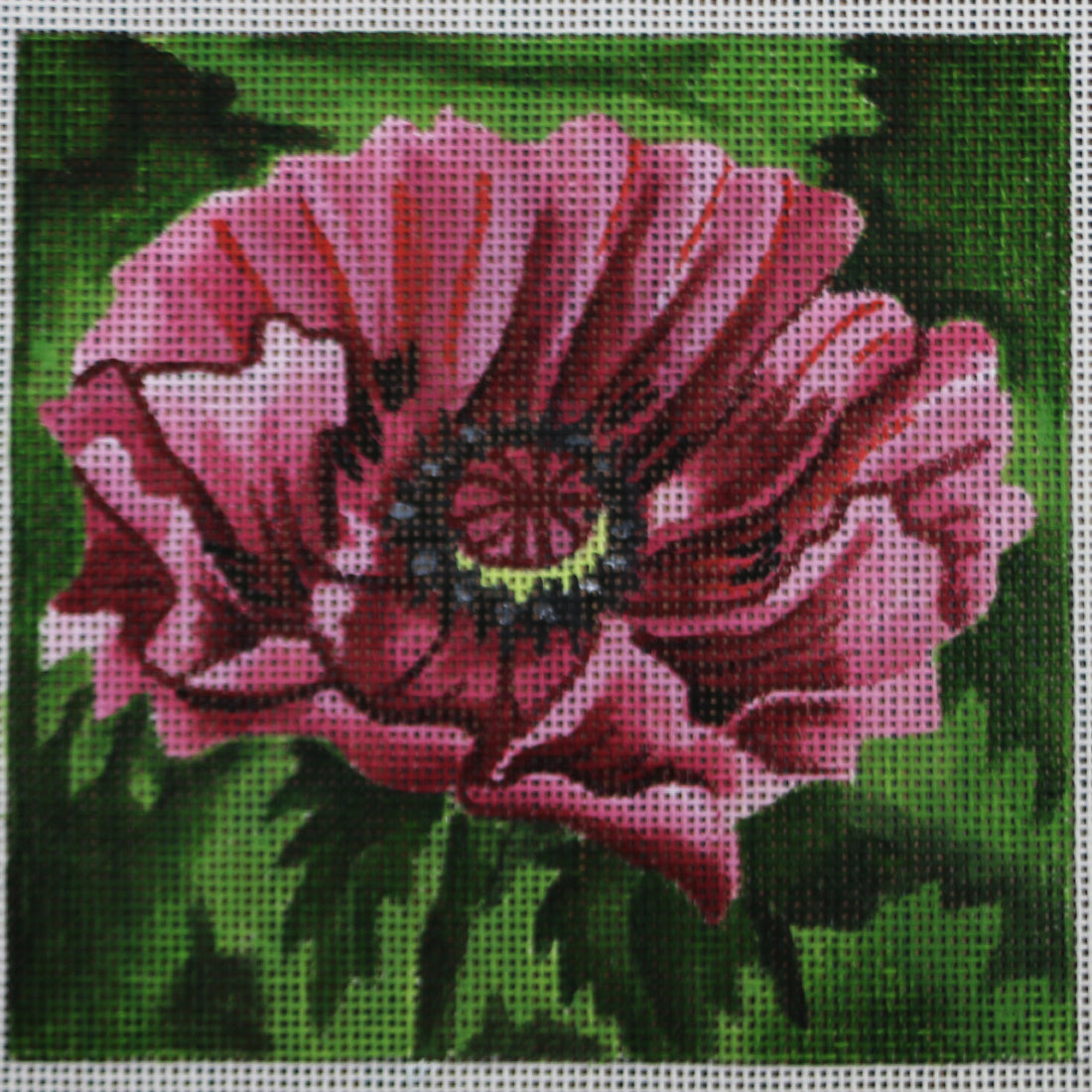 R116 Poppy