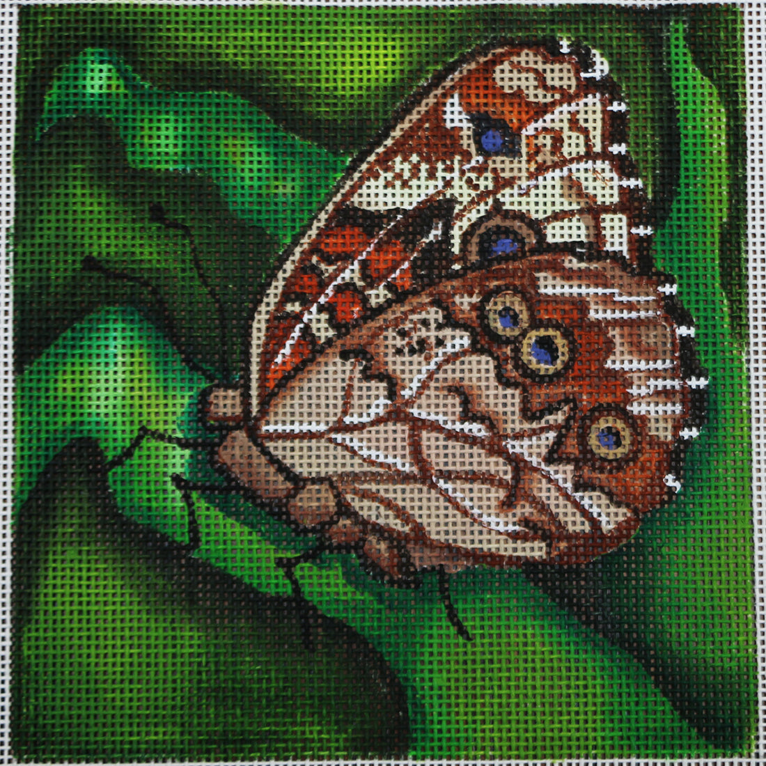 R119 Orange/Black/Brown Butterfly
