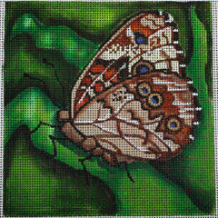 R119 Orange/Black/Brown Butterfly