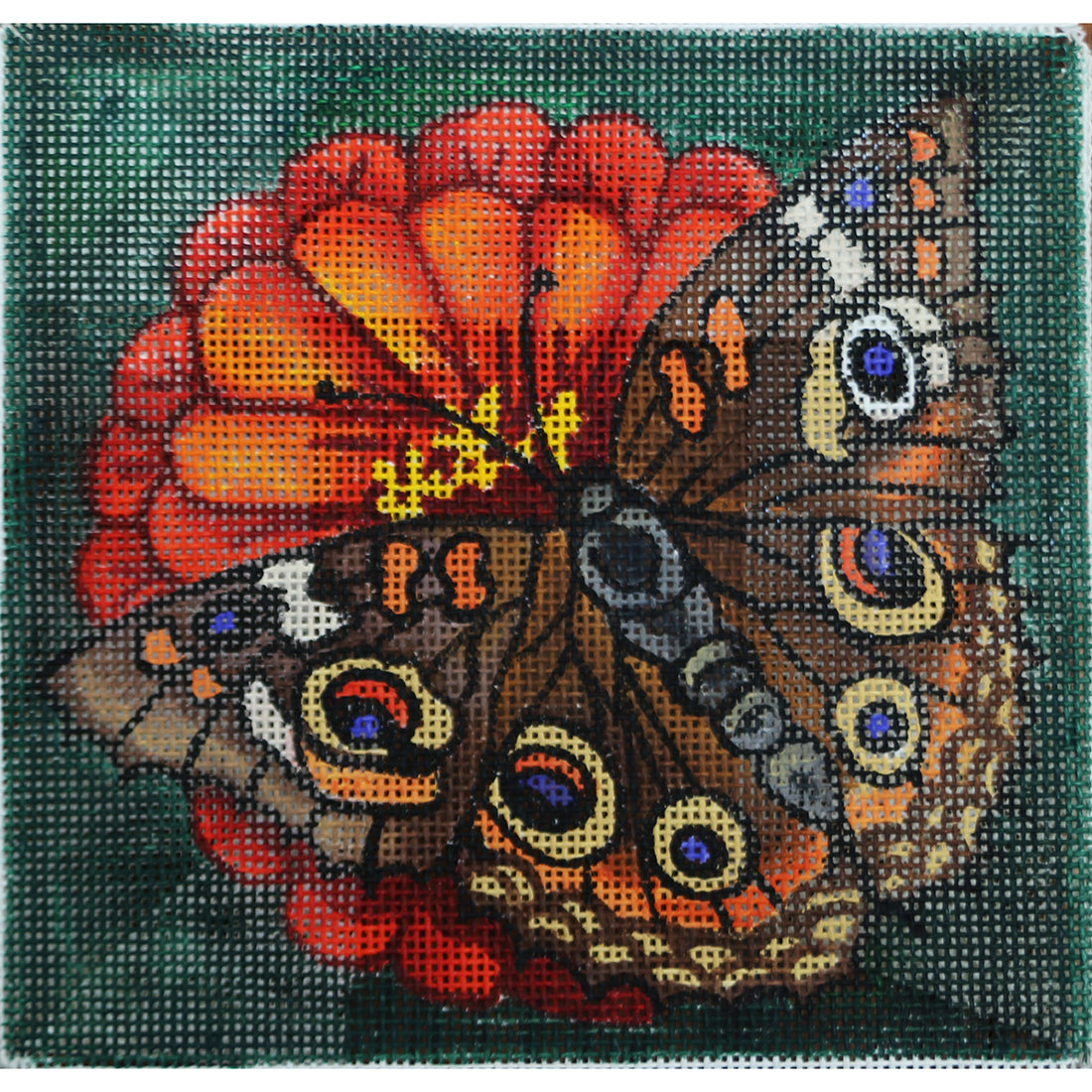 R119a Butterfly on Orange flower
