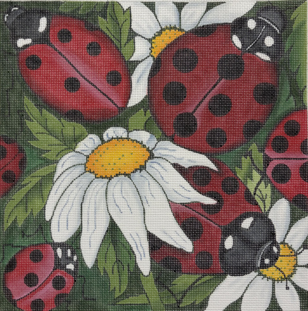 R1244 Ladybugs on white flowers