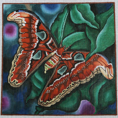 R128 Large Butterfly on Leaf