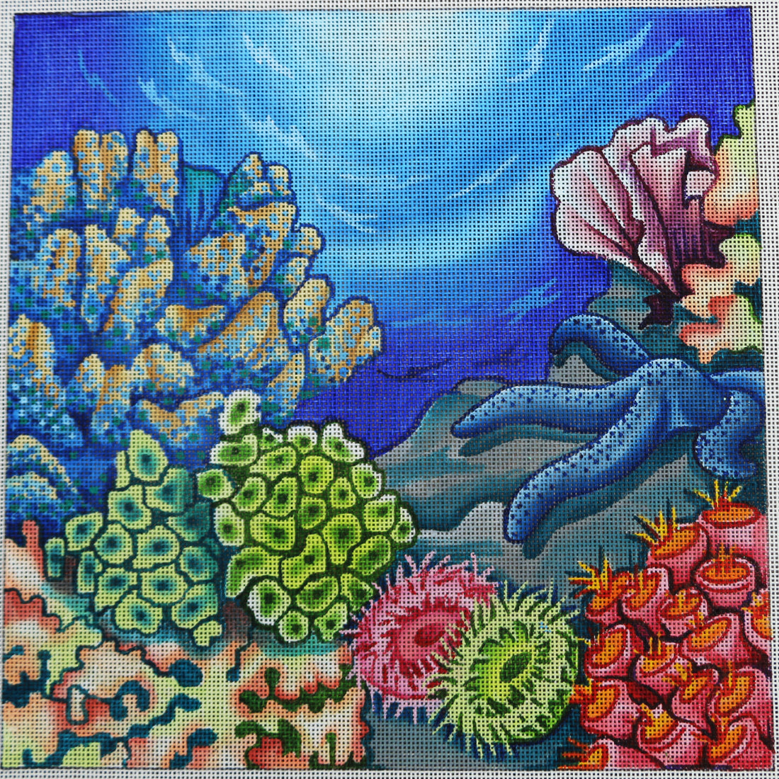 R144 Tropical Reef
