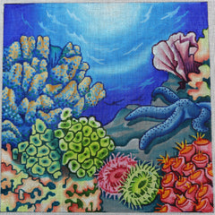 R144 Tropical Reef